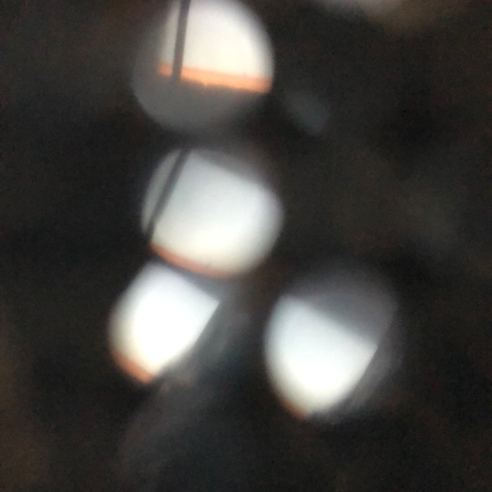 Meet your Posher, Regina